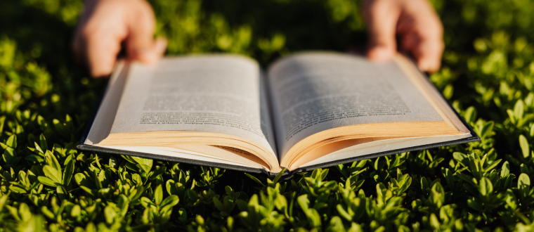 מה לקחת איתכם לטיול? הינה הספרים שחייב לקרוא